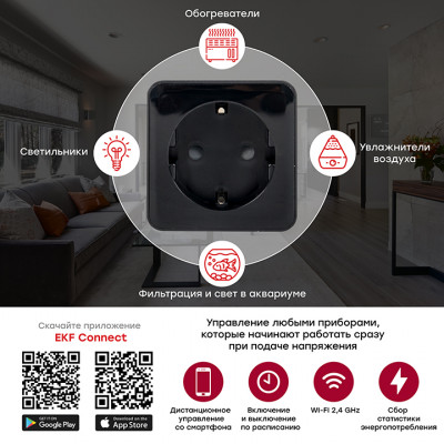 Фотография Умная розетка EKF Сonnect PRO Wi-Fi черная, артикул RCS-2-WF