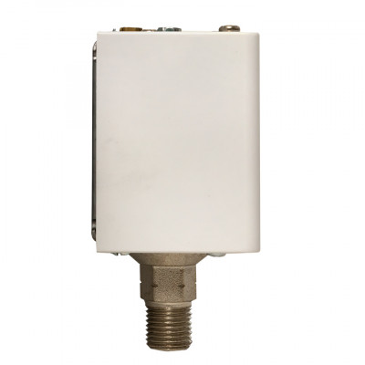 Фотография Реле избыточного давления EKF RVG-20-0,6 (0,6 МПа), артикул RVG-20-0,6