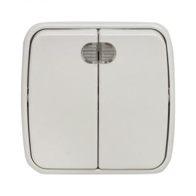 Фотография Минск Выключатель 2-клавишный ОП 10А с индикатором белый  EKF Basic, артикул EGV10-123-10