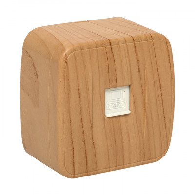 Фотография Розетка RJ-45 1-местная ОП Минск, 1А, 120В, светлое дерево EKF, артикул EGK01-035-30