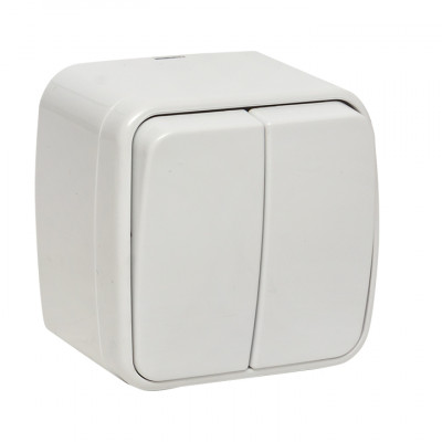 Фотография Минск Выключатель 2-клавишный ОП 10А белый  EKF Basic, артикул EGV10-023-10