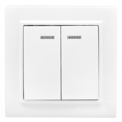 Фотография Минск Выключатель 2-клавишный СП с индикатором,10А, белый EKF Basic, артикул ERV10-123-10