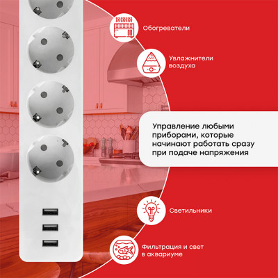 Фотография Умный удлинитель EKF Connect Wi-Fi c USB, артикул RCE-1-WF