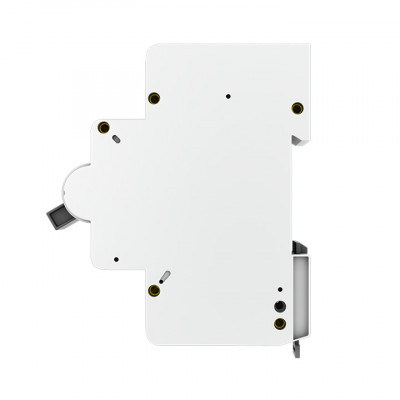 Фотография Автоматический выключатель 2P 125А (C) 15кА ВА 47-125 EKF PROxima, артикул mcb47125-2-125C