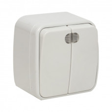 Минск Выключатель 2-клавишный ОП 10А с индикатором белый  EKF Basic