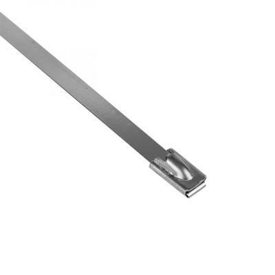 Фотография Хомут AISI 304 из нержавеющей стали, 4.6x200 (10 шт.) FlexLock PROxima, артикул plc-fl-tss-304-4.6x200-r