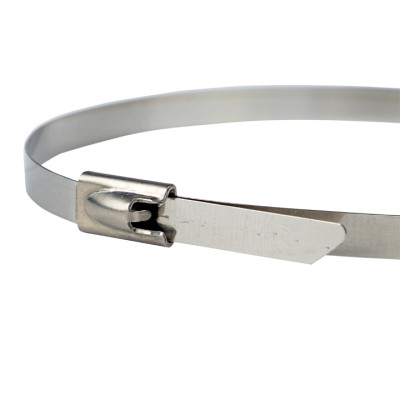 Фотография Хомут AISI 304 из нержавеющей стали, 4.6x260 (100 шт.) FlexLock PROxima, артикул plc-fl-tss-304-4.6x260