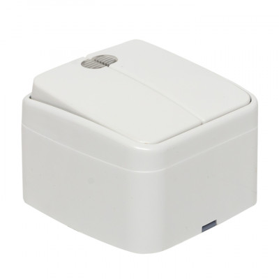 Фотография Минск Выключатель 2-клавишный ОП 10А с индикатором белый  EKF Basic, артикул EGV10-123-10