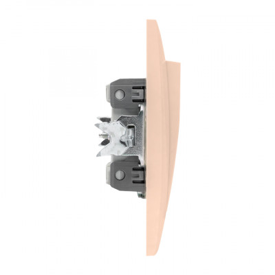 Фотография Валенсия выключатель 1-кл. 10А кремовый EKF PROxima, артикул EWV10-021-20