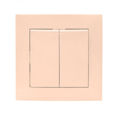 Фотография Валенсия выключатель 2-кл. 10А кремовый EKF PROxima, артикул EWV10-023-20